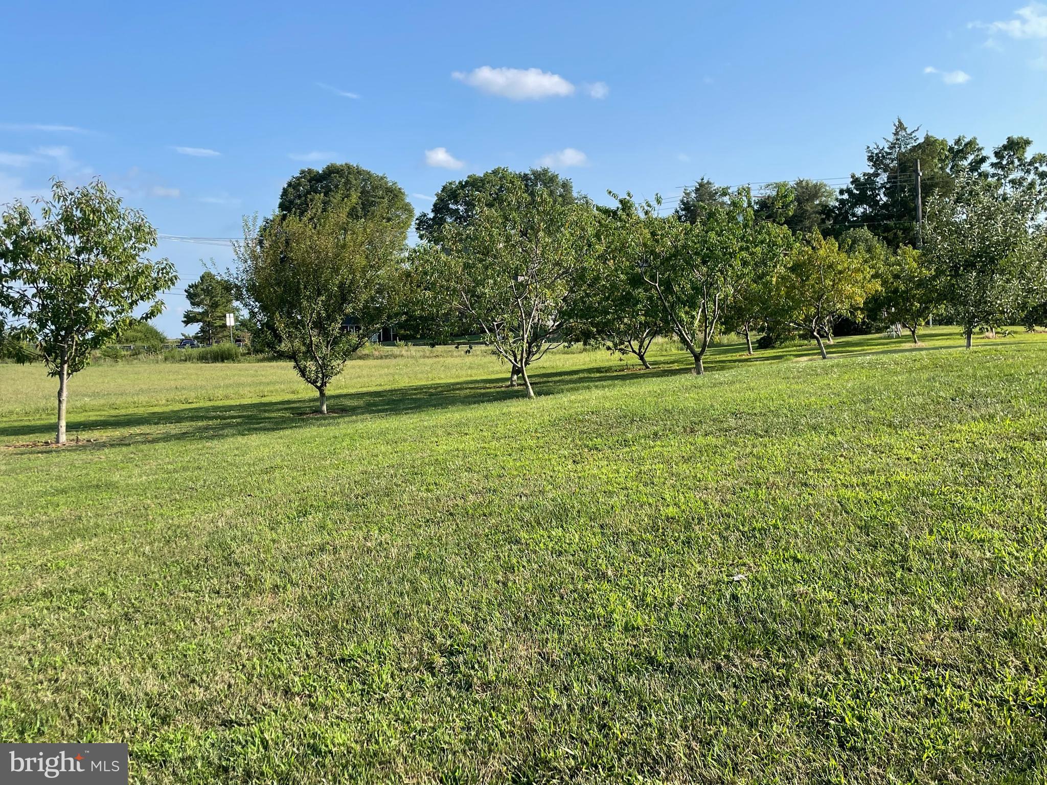 2537 Roberts Station Road Church Hill, MD 21623 - Photo 26 of 31 Mature Fruit Trees!