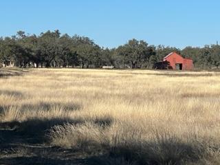 5 Whitetail Lane, Unit 5 Harper, TX 78631 - Photo 1 of 27 Main View