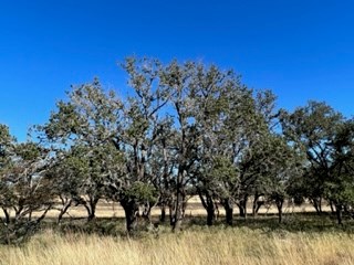 5 Whitetail Lane, Unit 5 Harper, TX 78631 - Photo 11 of 27