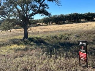 5 Whitetail Lane, Unit 5 Harper, TX 78631 - Photo 14 of 27