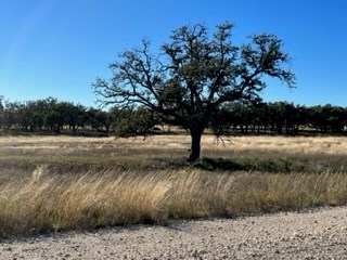 5 Whitetail Lane, Unit 5 Harper, TX 78631 - Photo 15 of 27