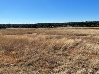 5 Whitetail Lane, Unit 5 Harper, TX 78631 - Photo 18 of 27