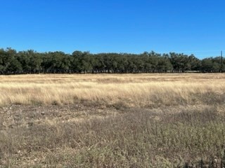 5 Whitetail Lane, Unit 5 Harper, TX 78631 - Photo 19 of 27