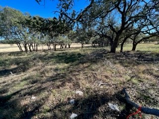 5 Whitetail Lane, Unit 5 Harper, TX 78631 - Photo 3 of 27