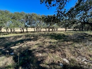 5 Whitetail Lane, Unit 5 Harper, TX 78631 - Photo 4 of 27