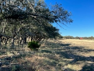 5 Whitetail Lane, Unit 5 Harper, TX 78631 - Photo 5 of 27