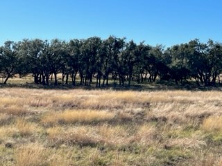 5 Whitetail Lane, Unit 5 Harper, TX 78631 - Photo 6 of 27