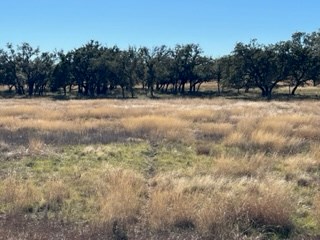 5 Whitetail Lane, Unit 5 Harper, TX 78631 - Photo 7 of 27