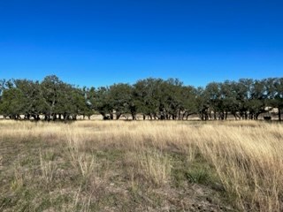 5 Whitetail Lane, Unit 5 Harper, TX 78631 - Photo 8 of 27