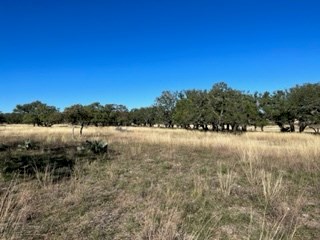 5 Whitetail Lane, Unit 5 Harper, TX 78631 - Photo 9 of 27