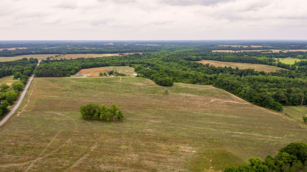 3000 Omussee Road Dothan, AL 36303 - Photo 10 of 15