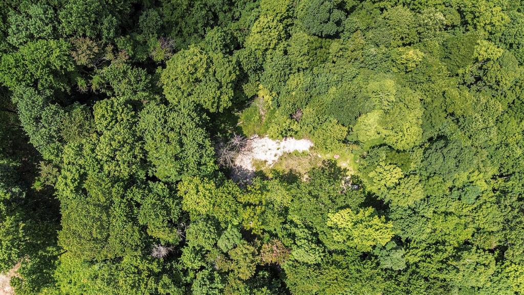 0 Calaway Road, Unit TRACT 5) Coolville, OH 45723 - Photo 29 of 32 DJI_0011