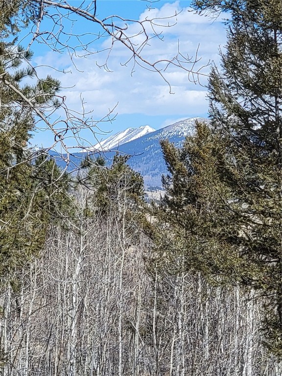 2270 Redhill Road Fairplay, CO 80440 - Photo 14 of 26 Gallery Image 14
