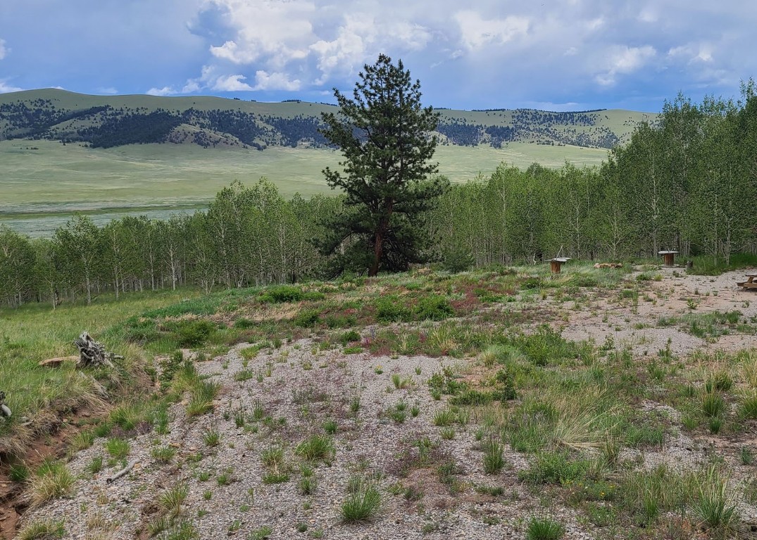 2270 Redhill Road Fairplay, CO 80440 - Photo 6 of 26 Gallery Image 6