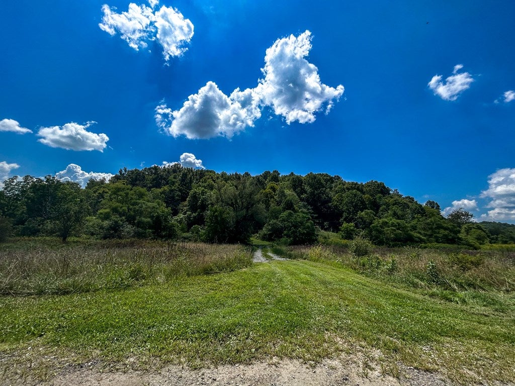 26-acres Tobler Road Rural Retreat, VA 24368 - Photo 60 of 60 Gallery Image 60