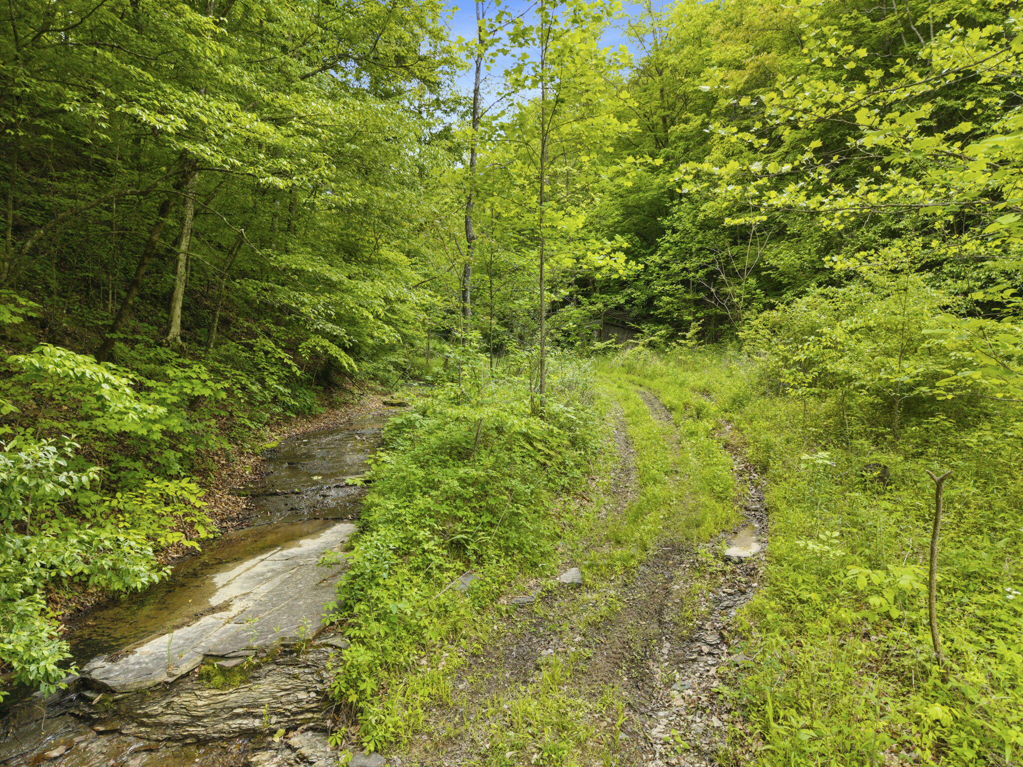 0 Jetts Creek Road Jackson, KY 41339 - Photo 26 of 31 26-web-or-mls-DJI_20260505153652_0070_D