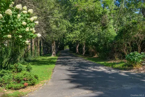 a view of a garden with a table and chairs under an umbrella