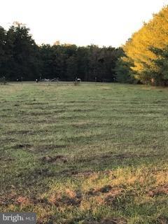 Shepherds Road Partlow, VA 22534 - Photo 3 of 5 View