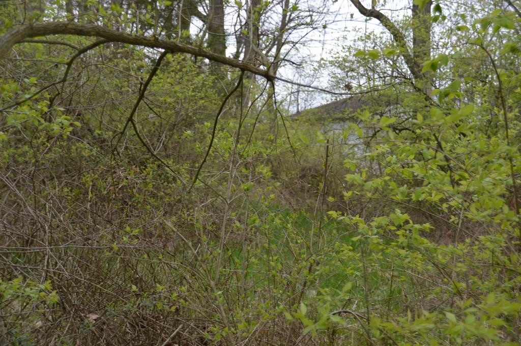 5970 Wheelock Road West Milton, OH 45383 - Photo 7 of 19
