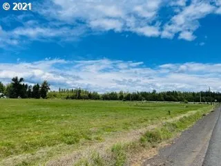 a view of a field with an trees in the background