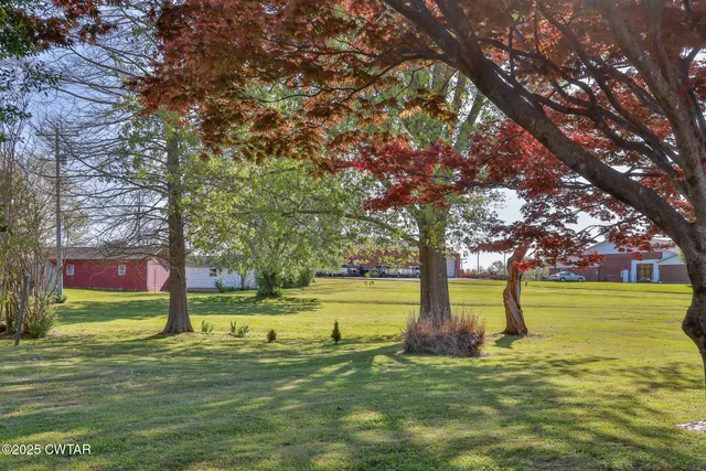 a view of a park with large trees