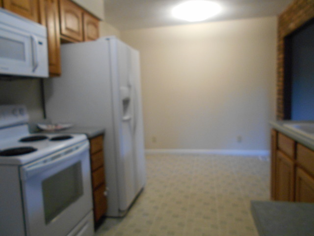 320 Hadleigh Road Bolingbrook, IL 60440 - Photo 21 of 25