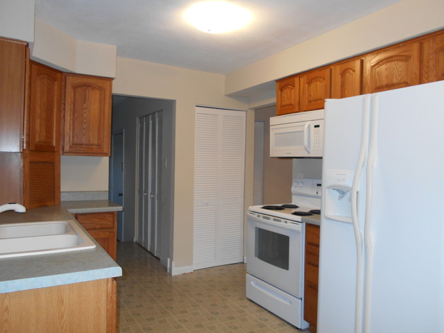 320 Hadleigh Road Bolingbrook, IL 60440 - Photo 23 of 25