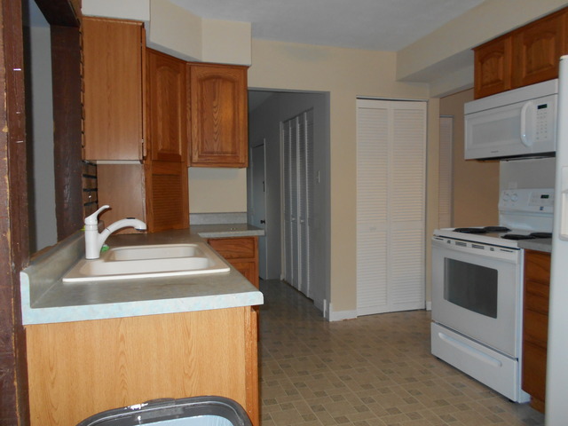 320 Hadleigh Road Bolingbrook, IL 60440 - Photo 4 of 25
