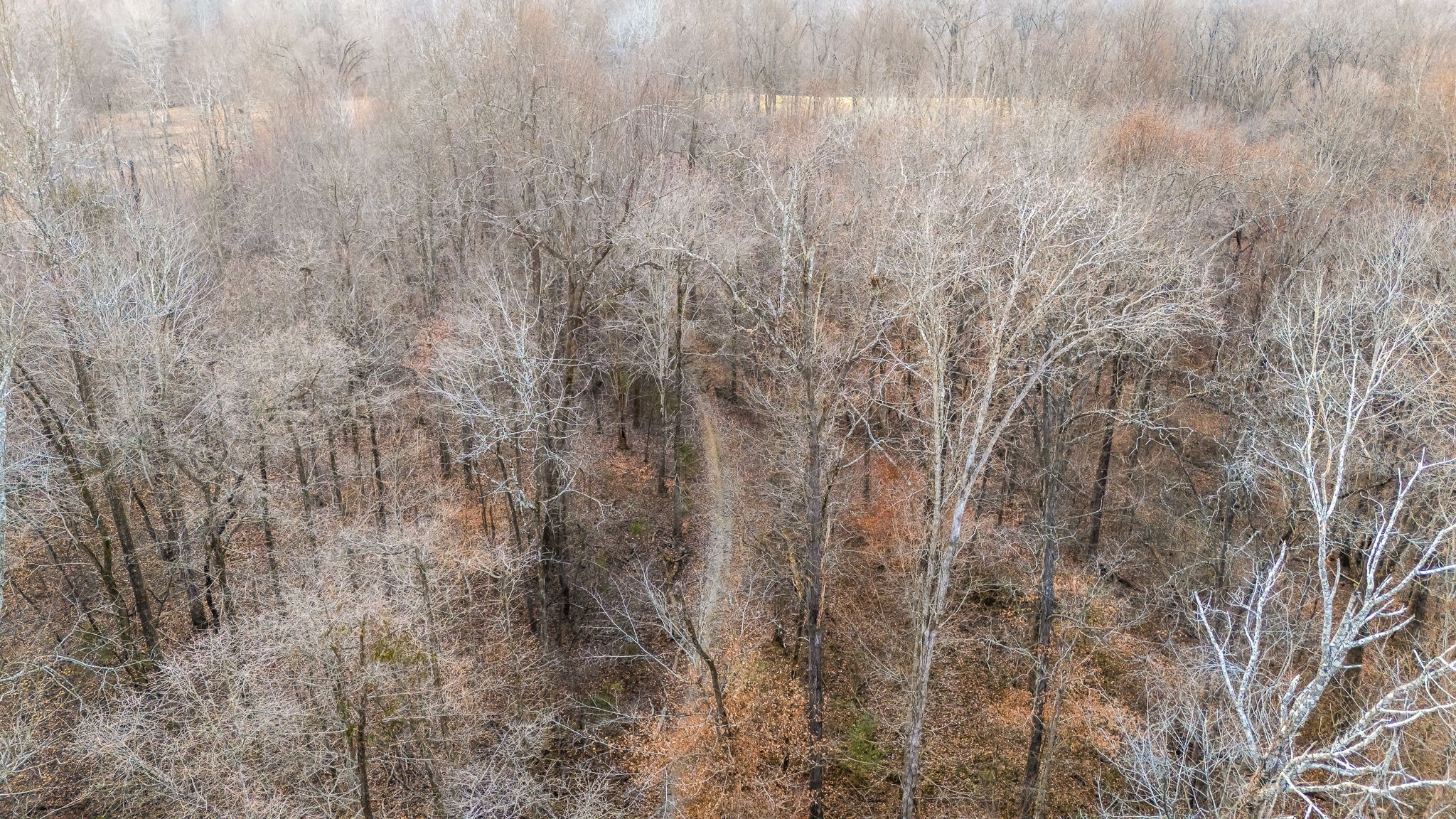 745 Union Ridge Road Wartrace, TN 37183 - Photo 68 of 76