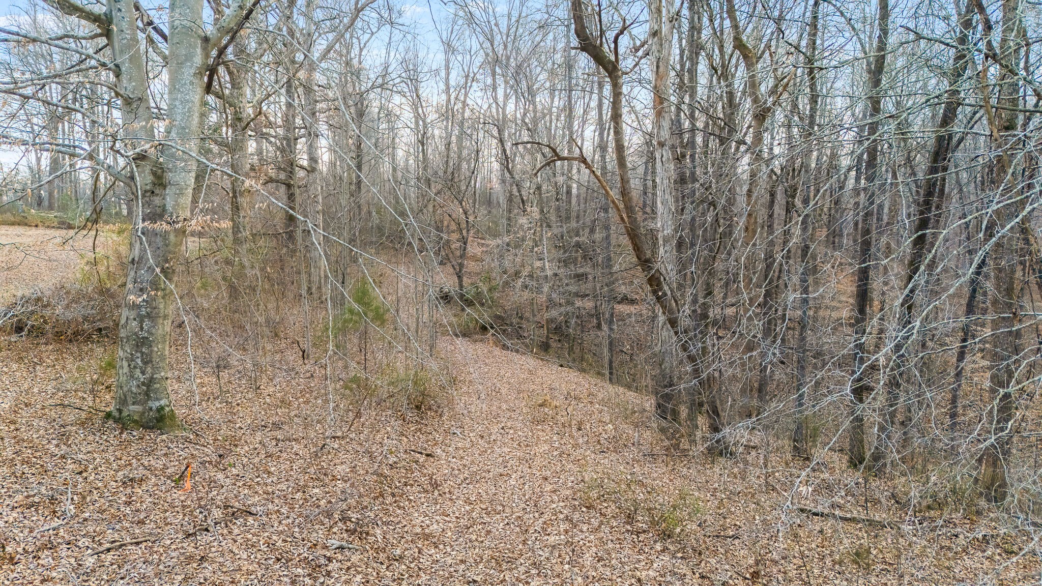 745 Union Ridge Road Wartrace, TN 37183 - Photo 75 of 76