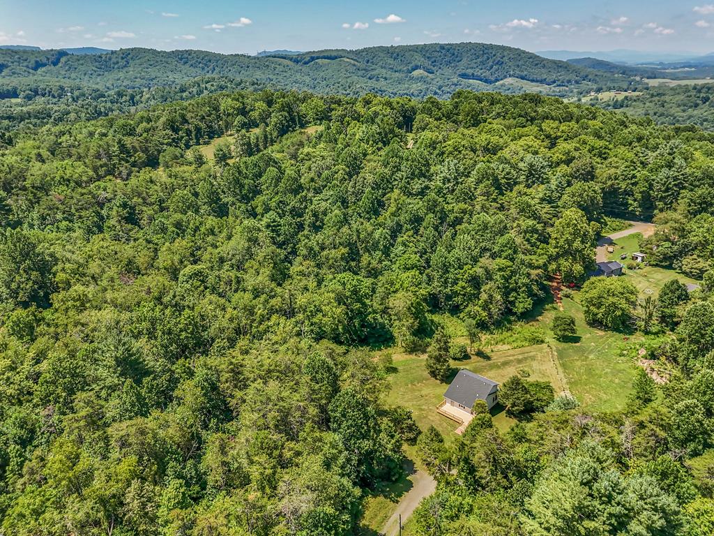 309 Timber Road Barren Springs, VA 24313 - Photo 56 of 66 Gallery Image 56