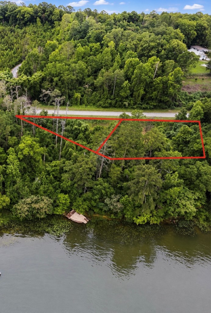 97 County Road 97 Abbeville, AL 36310 - Photo 3 of 4