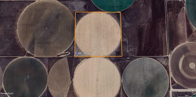 $1,040,000 | Undisclosed Address, Dalhart, TX 79022