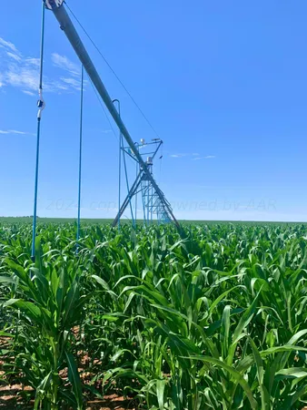 $1,040,000 | Undisclosed Address, Dalhart, TX 79022