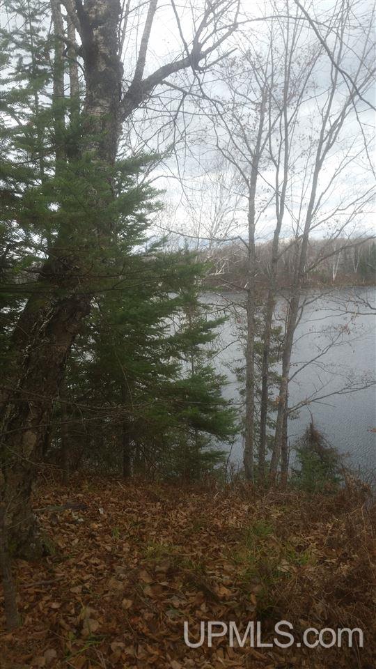 Tbd Maggie Point Road, Unit PCL 9E Crystal Falls, MI 49920 - Photo 3 of 7