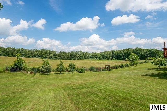 3131 Whipple Road Jackson, MI 49201 - Photo 9 of 32 Photo 9