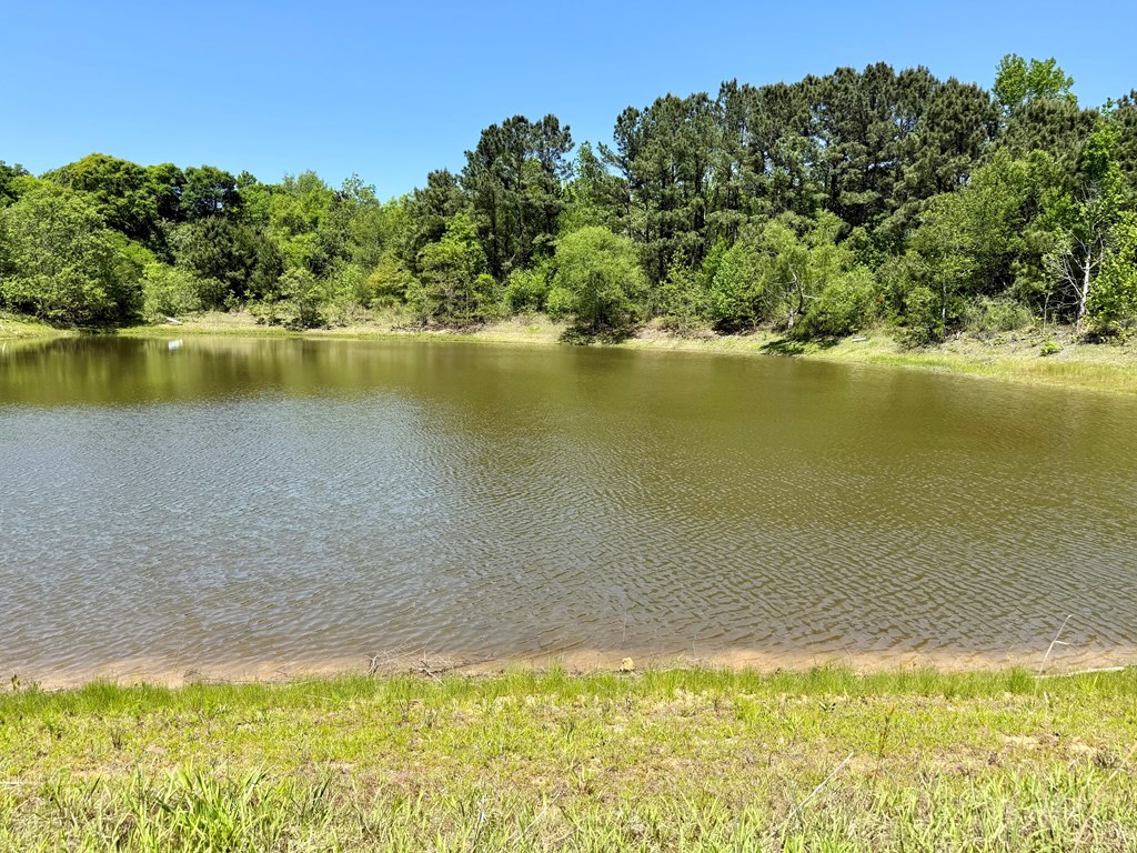 12.37-acres Huskey Road Dothan, AL 36303 - Photo 2 of 16