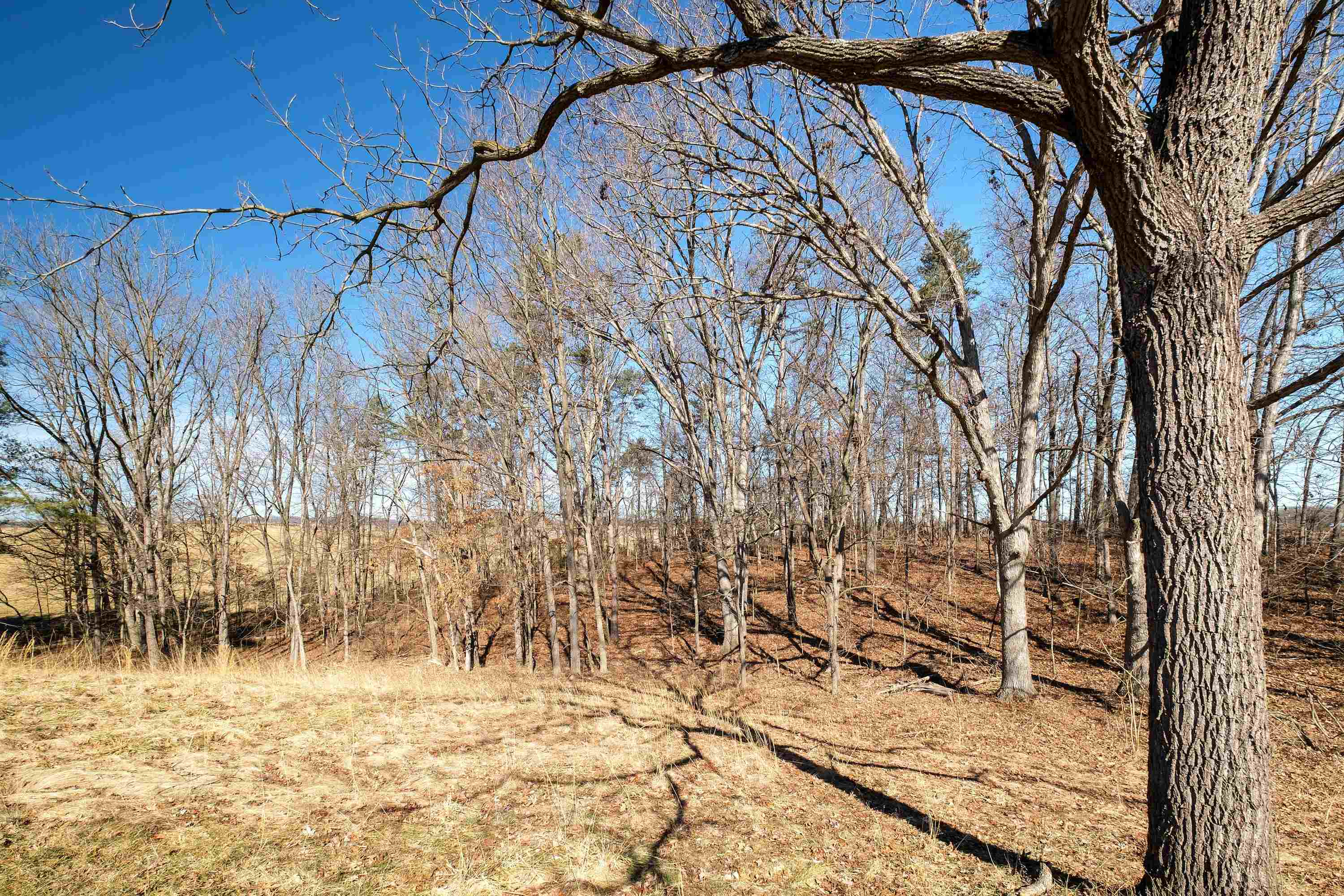 5.1-acres Timber Ridge Road East Fishersville, VA 22939 - Photo 16 of 19 Gallery Image 16