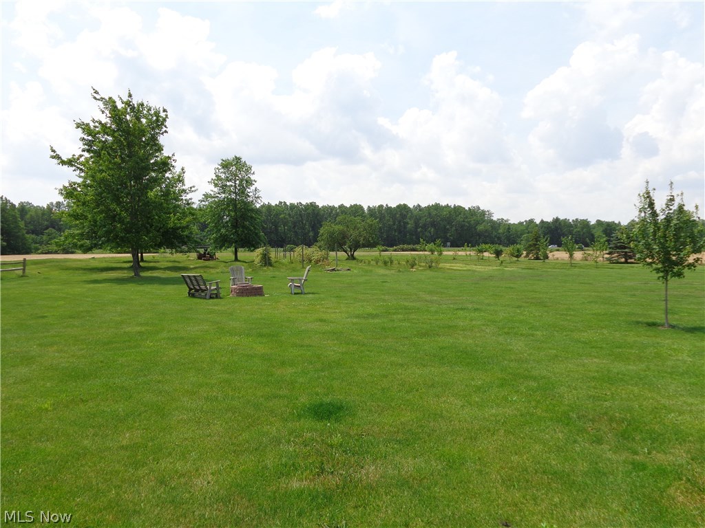 14214 Kneisel Road Vermilion, OH 44089 - Photo 22 of 24 HUGE back yard w/many fruit trees.