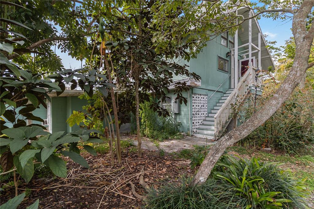 1730 Neptune Road Kissimmee, FL 34744 - Photo 25 of 38 a backyard of a house with lots of green space