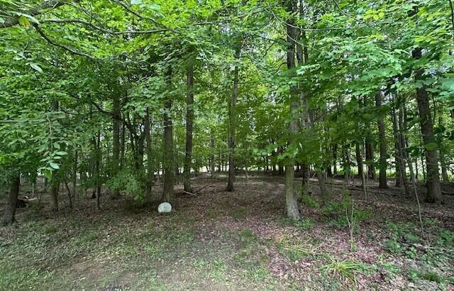 7751 Mulberry Road Heath, OH 43056 - Photo 47 of 70 WOODED PATHS