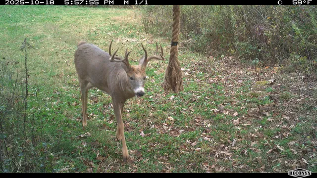 $2,675,000 | N23415 Oak Ridge Drive, Galesville, WI 54630