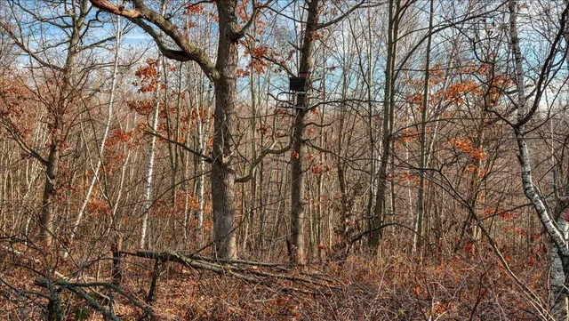 $2,675,000 | N23415 Oak Ridge Drive, Galesville, WI 54630