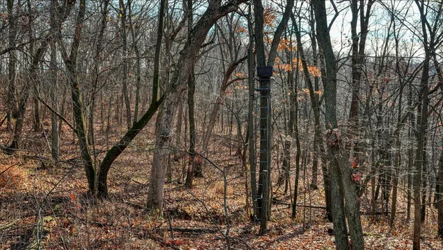 $2,675,000 | N23415 Oak Ridge Drive, Galesville, WI 54630