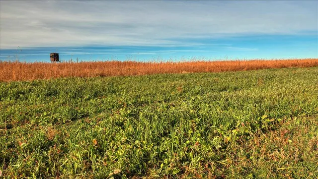 $2,675,000 | N23415 Oak Ridge Drive, Galesville, WI 54630