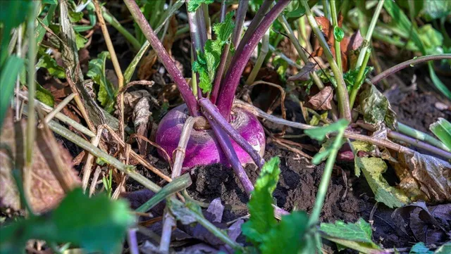 $2,675,000 | N23415 Oak Ridge Drive, Galesville, WI 54630