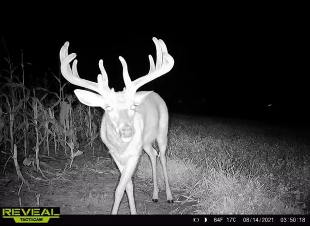 $2,675,000 | N23415 Oak Ridge Drive, Galesville, WI 54630