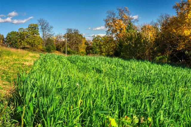 $2,675,000 | N23415 Oak Ridge Drive, Galesville, WI 54630