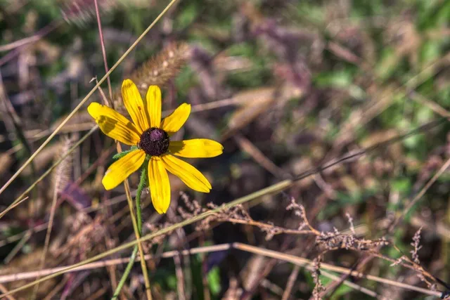 $2,675,000 | N23415 Oak Ridge Drive, Galesville, WI 54630