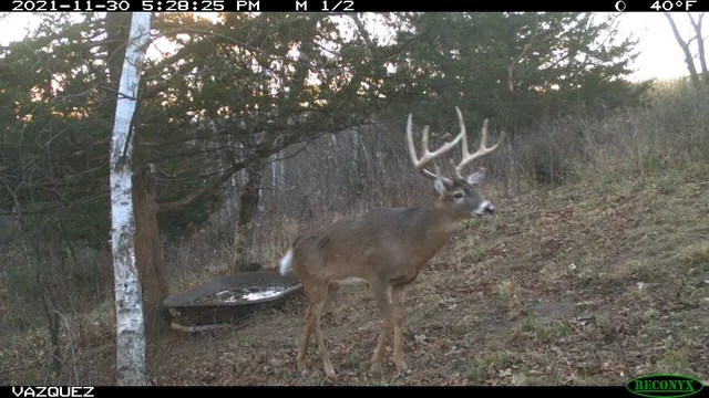 $2,675,000 | N23415 Oak Ridge Drive, Galesville, WI 54630